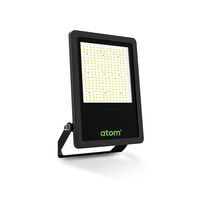 Zenix 100W LED Floodlight - 5000K