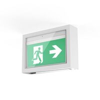 Mercury vandal resistant case - surface mount