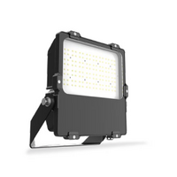 100W LED IP66 Floodlight Ser III - 5000K