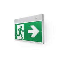 Razor-Flex Pro slimline emergency edgelit Exit 24M