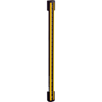 C4P-EX16531C00 | Safety light curtains