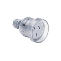 10 Amp Socket With Neon