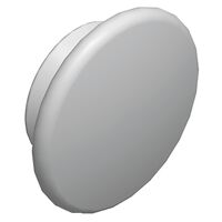 WM Set of 50 back plugs