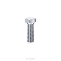 SCREW,SET HEX HEAD 12 x 65mm, 304GR S/S [25]