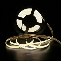 LED light strip
