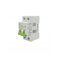 RCBO Residual Current Breaker with Overcurrent Protection 6kA 2 Pole 63A 230 240V ac 30mA Type A 2 Module Wide