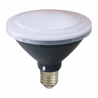 KEY PAR30-12 E27 / DIM / FROSTED