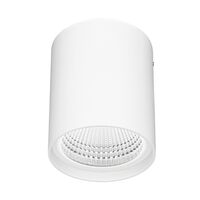 ANKA PLUS 12W LED CCT SURFACE MOUNT DOWN LIGHT - WHITE