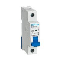 MCB 1P 20A 6kA D Curve DIN Rail NB1-63 Chint