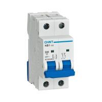 MCB 2P 20A 6kA B Curve DIN Rail NB1-63 Chint