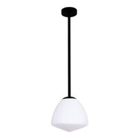 Pendant Light ES Dome Glass Matt Black Frosted 220mm CLA Lighting