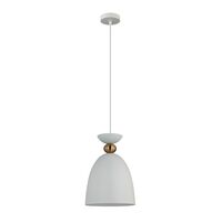 Pendant Light ES Bell Iron Brass Matt White 220mm CLA Lighting