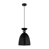 Pendant Light ES Bell Iron Brass Matt White 220mm CLA Lighting