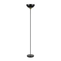 Floor Lamp ES Iron Antique Brass Matt Black 290mm CLA Lighting