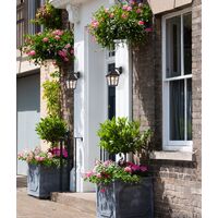 Outdoor Wall Light Coach ES Aluminium Black IP44 CLA Lighting