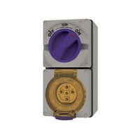 Combination Switched Socket IP66 20A 500V 5 Pin Buffalo Grey Trader