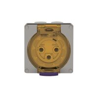 Socket Outlet IP66 50A 500V 4 Round Pin Buffalo Grey Trader