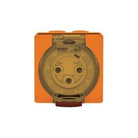 Socket Outlet IP66 50A 500V 4 Round Pin Buffalo Orange Trader