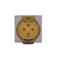 Socket Outlet IP66 50A 500V 4 Round Pin Buffalo Grey Trader