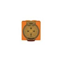 Socket Outlet IP66 50A 500V 4 Round Pin Buffalo Orange Trader