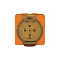 Socket Outlet IP66 32A 500V 4 Round Pin Buffalo Orange Trader