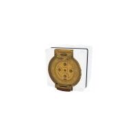 Socket Outlet IP66 40A 500V 5 Round Pin Buffalo White Trader