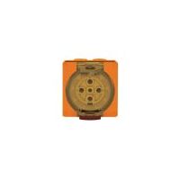 Socket Outlet IP66 50A 500V 5 Round Pin Buffalo Orange Trader