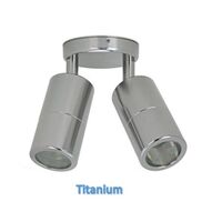 Double adjustable spot Titanium