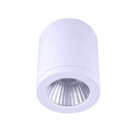 LED SURFACE MOUNTED LIGHT WH