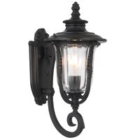 Outdoor Wall Light E27 IP44 400mm Black Clear Ramiro Telbix