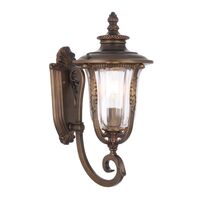 Outdoor Wall Light E27 IP44 400mm Bronze Clear Ramiro Telbix