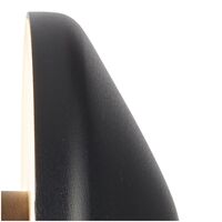 Outdoor Wall Light 24V LED 3W IP65 Black Shea Telbix