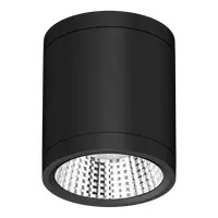 Neo-Pro Surface Mount DALI LED Downlight 13W IP65 Black Domus