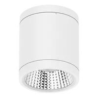Neo-Pro Surface Mount DALI LED Downlight 13W IP65 White Domus
