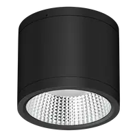 Neo-Pro Surface Mount DALI LED Downlight 25W IP65 Black Domus