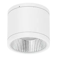 Neo-Pro Surface Mount DALI LED Downlight 25W IP65 White Domus