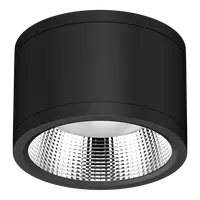 Neo-Pro Surface Mount DALI LED Downlight 35W IP65 Black Domus