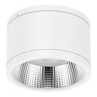 Neo-Pro Surface Mount DALI LED Downlight 35W IP65 White Domus