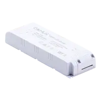 LED Driver 100W 24V DC Constant Voltage IP20 Non-Dimmable Domus