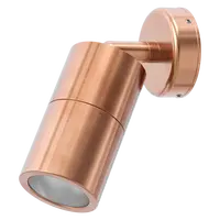 Shadow Exterior Wall Light 1 Light Adjustable 12V Copper Domus