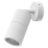 Shadow Exterior Wall Light 1 Light Adjustable 12V White Domus