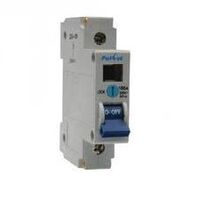 Single Phase 100A Main Switch