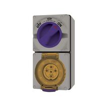 Buffalo -u00a0Combination Switched Socket IP66 10A 500V 5 Pin Chemical Resistant Grey  x1 - BUC510RG