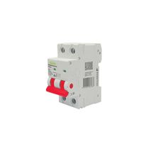 Wolverine -u00a0Main Switch 2 Pole 100A 400V 415V ac 2 Module  x6 - WOMSW2100