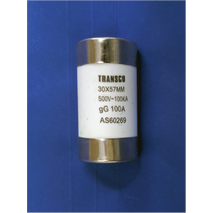 Fuse Link 100A 500V