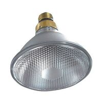 PAR38 E27 150W - LP/PAR38150W