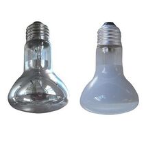 R80 E27 Frosted 75W - LP/RFES75W/F
