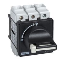 TeSys Mini-Vario, Switch disconnector, 63A, on door