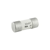 Service Fuse 500V 80A 22 x 57mm