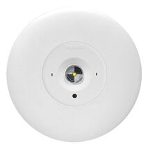 LED Satellite D50 complete with flex & plug - white finish with lithium battery - Axiom